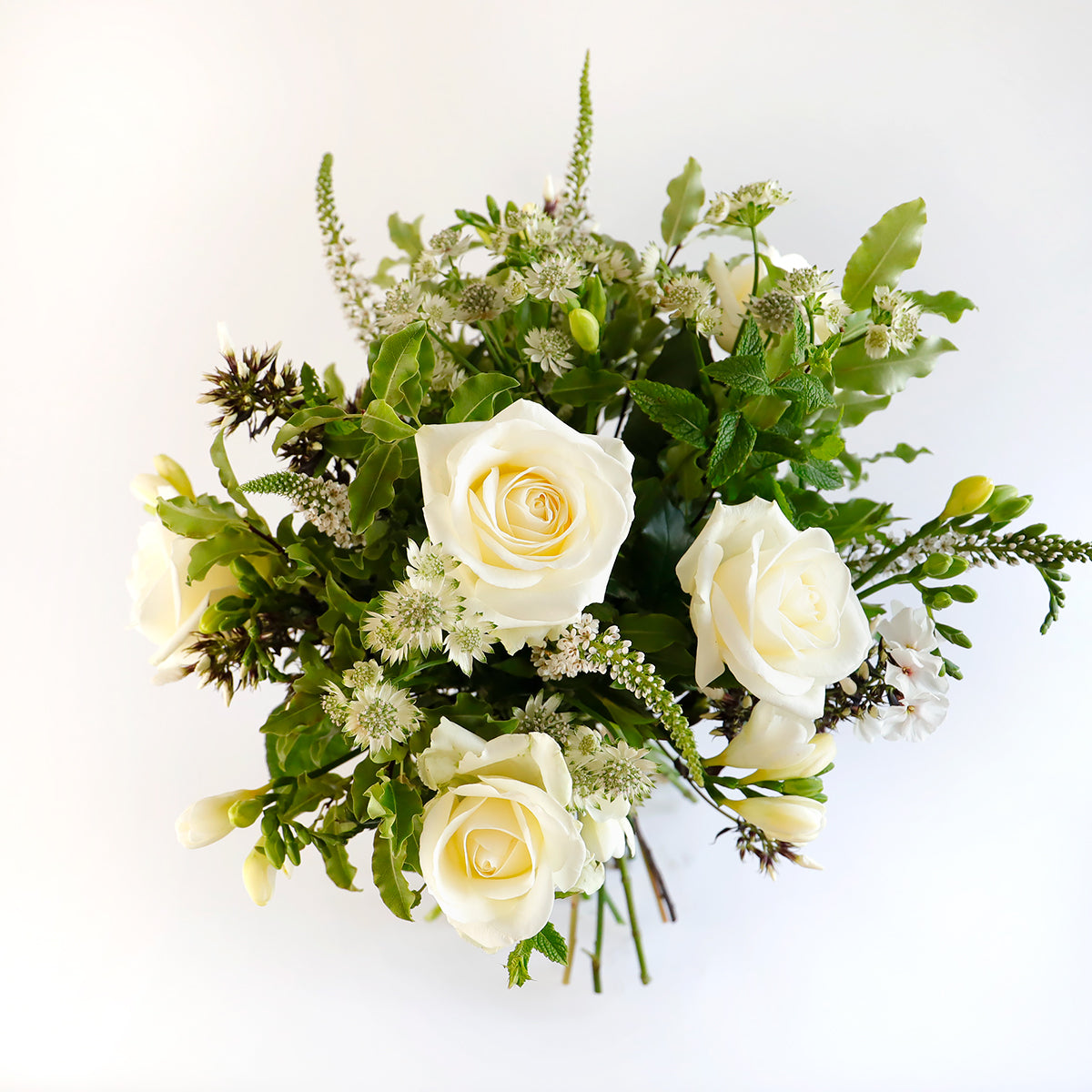 Overhead view of white roses, white veronica, white freesia and astrantia with foliage