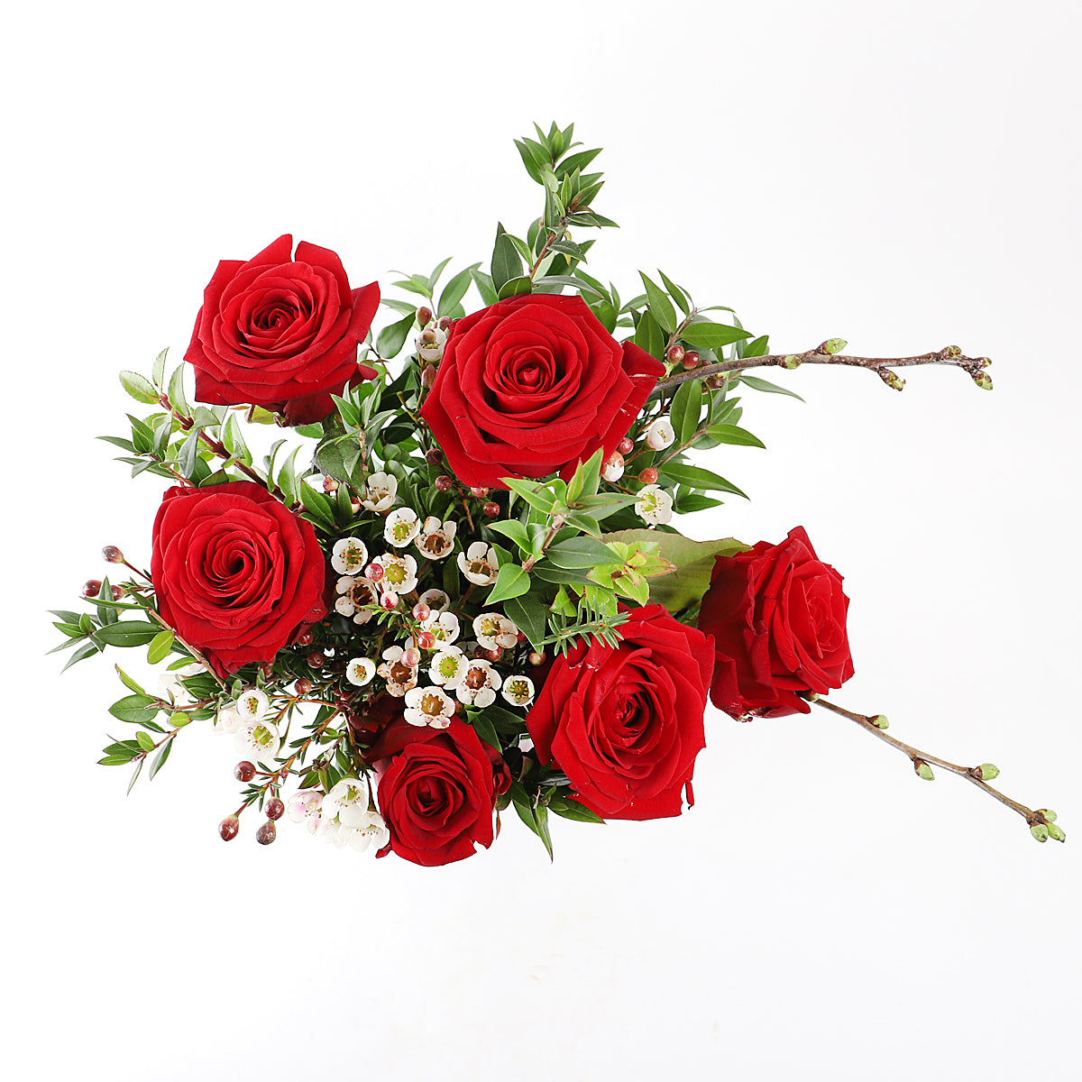 Overhead view of six red roses and foliage